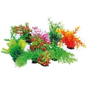 Plantas para acuarios