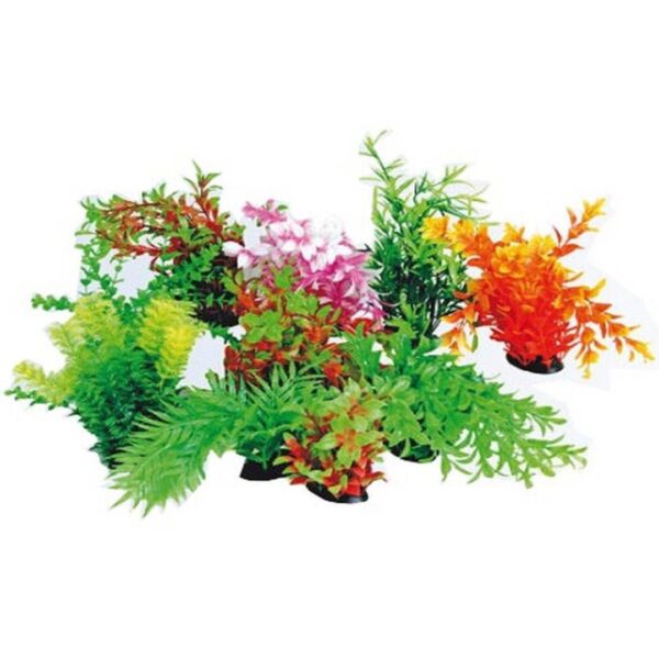Plantas para acuarios