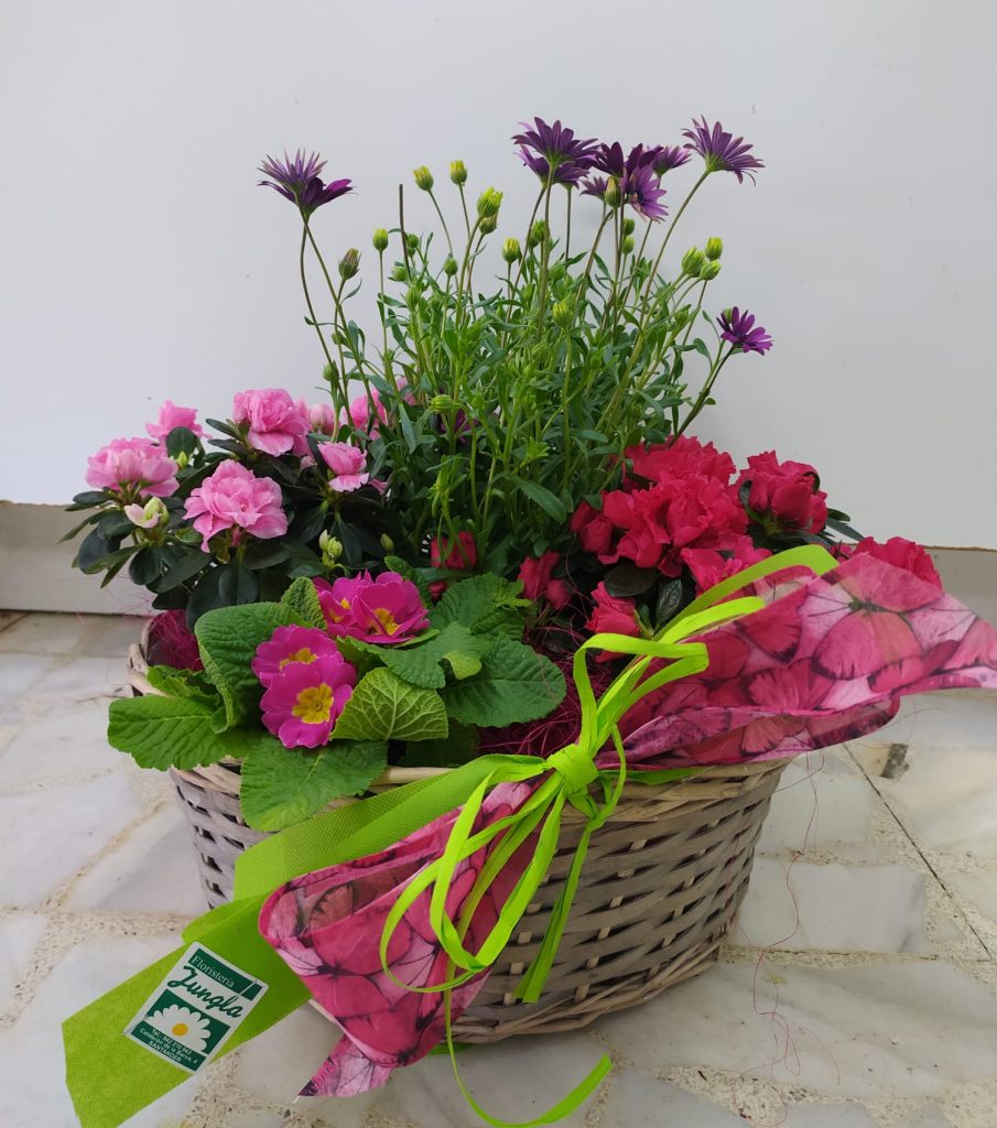 Cesta primaveral compuesta de plantas de exterior en Santander