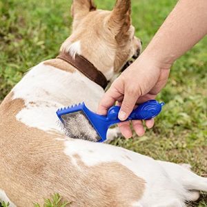 Cepillos y peines para perros en Santander