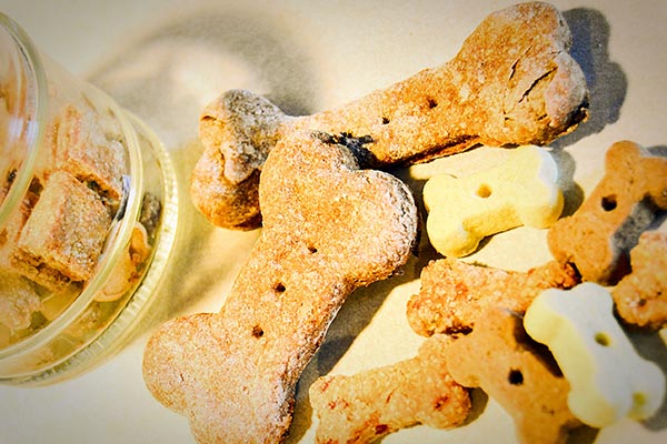 Snacks para perros en Santander