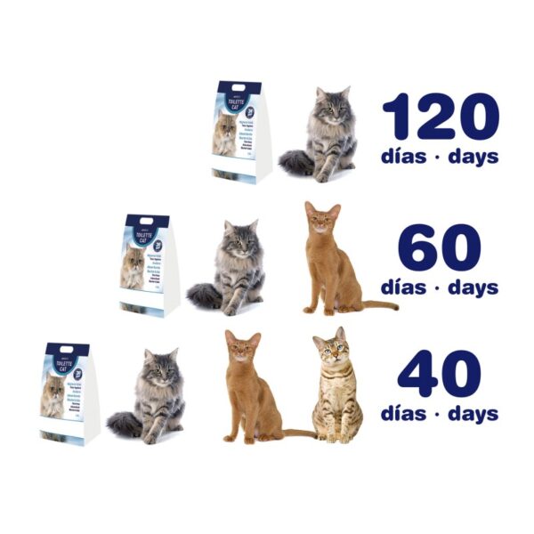 TOILETTE CAT - Imagen 3